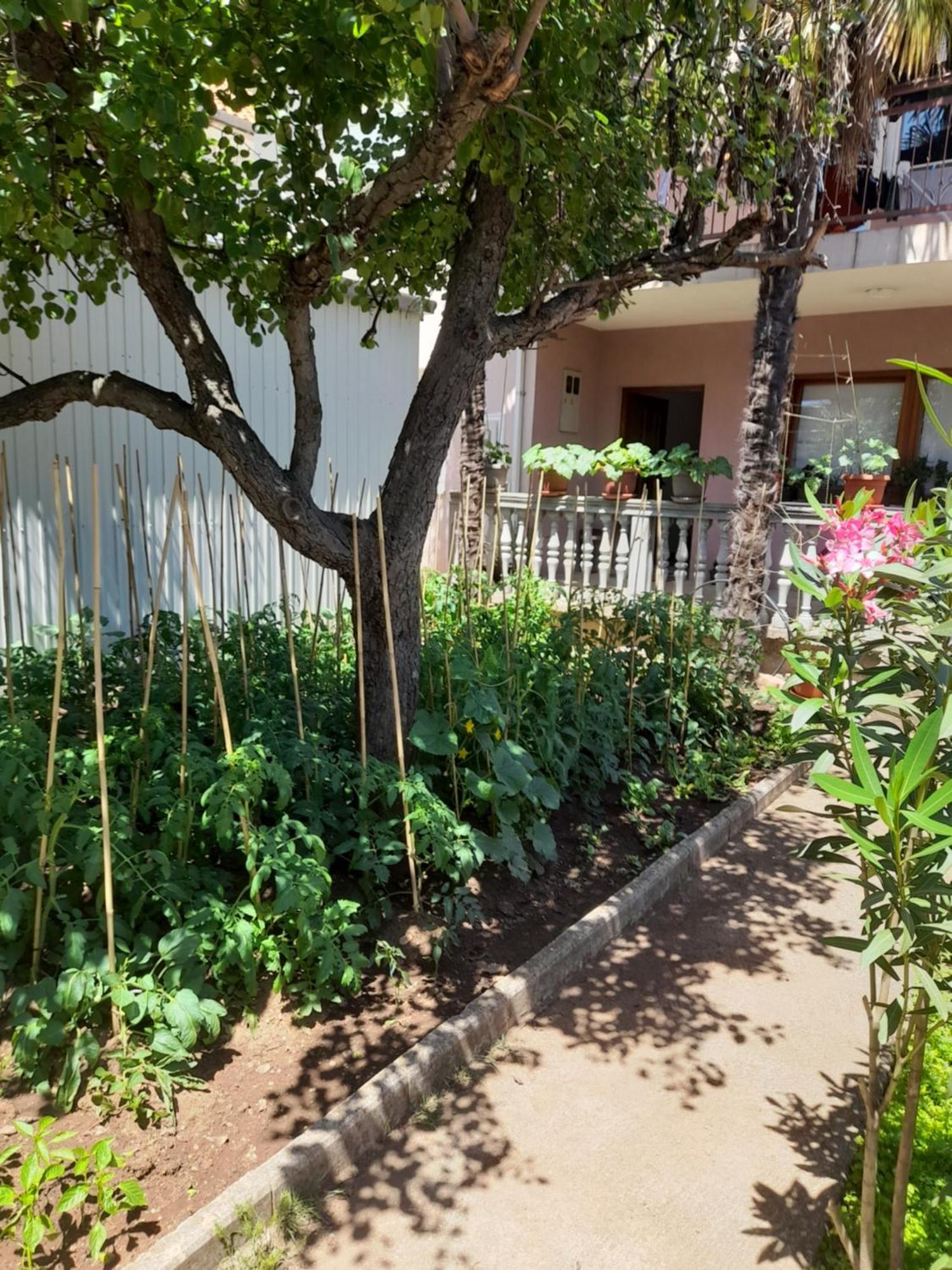 Apartman Avdic Mostar Luaran gambar